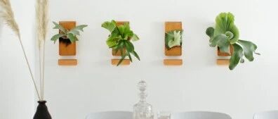 Design Goes Global: How a Ceramic Tile Raised $1M, Bringing Plant Walls Indoors