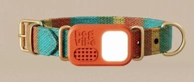 DogVibe Smart Pet Training System Raises $290K in 10 Days on Kickstarter