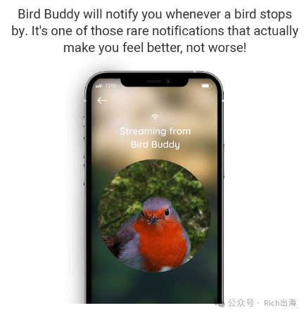BirdBuddy Smart Feeder: A €4.19 Million Crowdfunding Success on Kickstarter source image 4