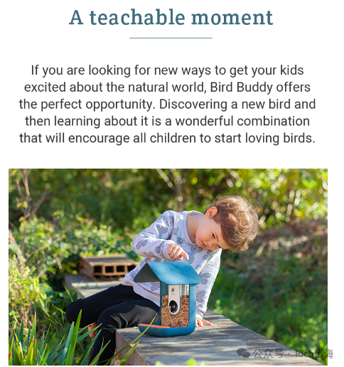 BirdBuddy Smart Feeder: A €4.19 Million Crowdfunding Success on Kickstarter source image 5