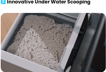 Petalas: AI Urine Detection Smart Litter Box Campaign Stalls Below $100K on Kickstarter source image 7