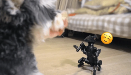 Hengbot's Sirius Robot Dog Campaign Exceeds $850K on Kickstarter source image 6