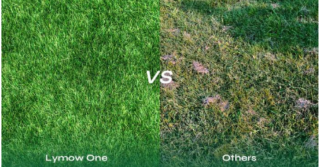 Lymow One: A $7.48M Kickstarter Success Faces Post-Campaign Challenges source image 6