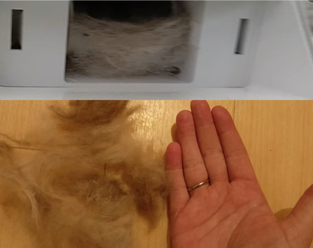 PawSwing Neo: Non-Electric Cat Groomer Exceeds $300K on Kickstarter source image 6