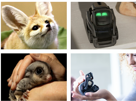 The Rise and Fall of Anki's Vector: A $1.87 Million Crowdfunding Cautionary Tale source image 6