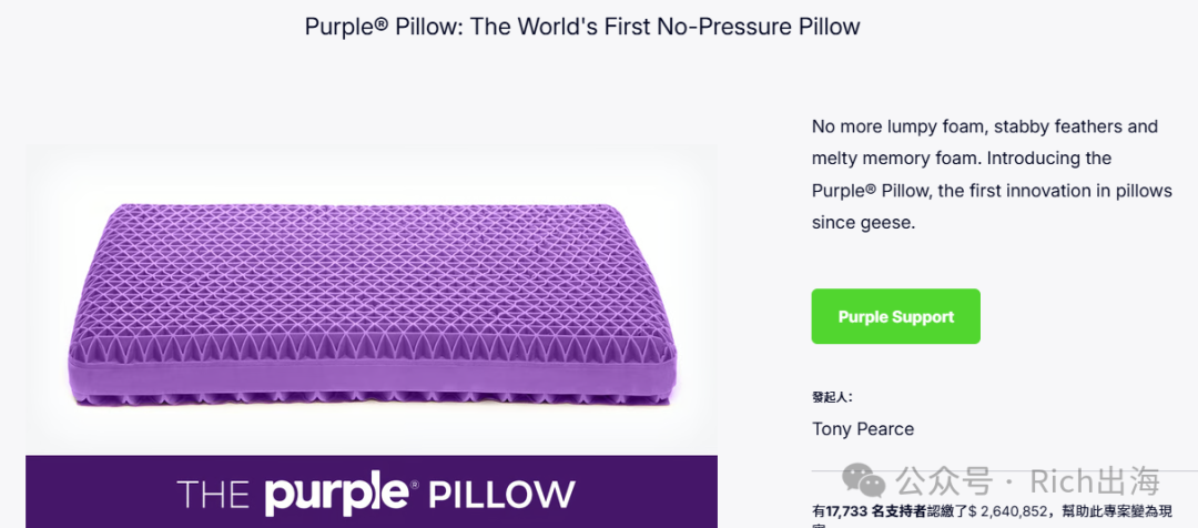 The Purple Pillow: A $2.64 Million Kickstarter Success Story