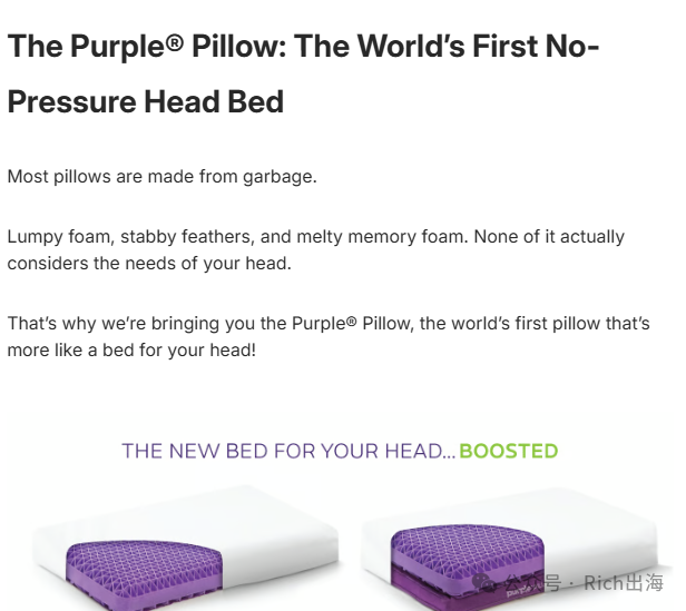 The Purple Pillow: A $2.64 Million Kickstarter Success Story source image 5