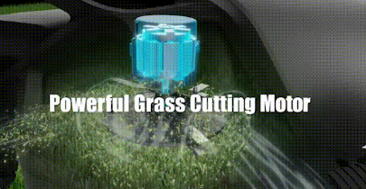 Million-Dollar Robotic Lawnmower Campaigns: Can They Deliver? source image 5