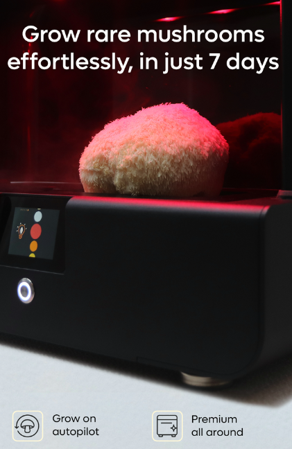 Smart Home Mushroom Grower Sproushi Raises €50,000 on Kickstarter in First Day source image 2