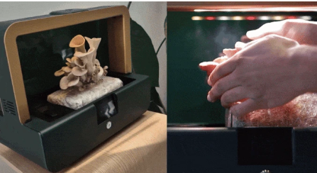 Smart Home Mushroom Grower Sproushi Raises €50,000 on Kickstarter in First Day source image 5
